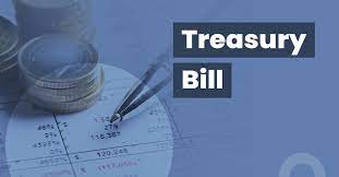 Treasury Bills3